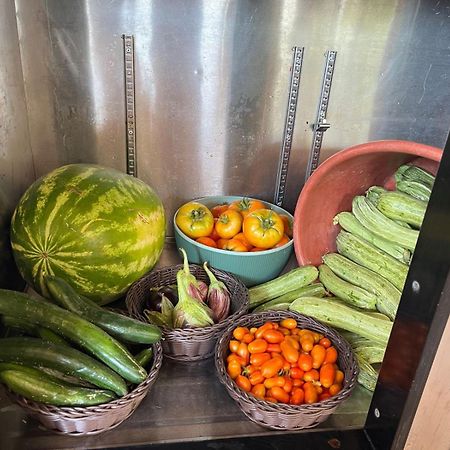 Eco Glamping With Pool Between Nafplio And Аргос Екстериор снимка