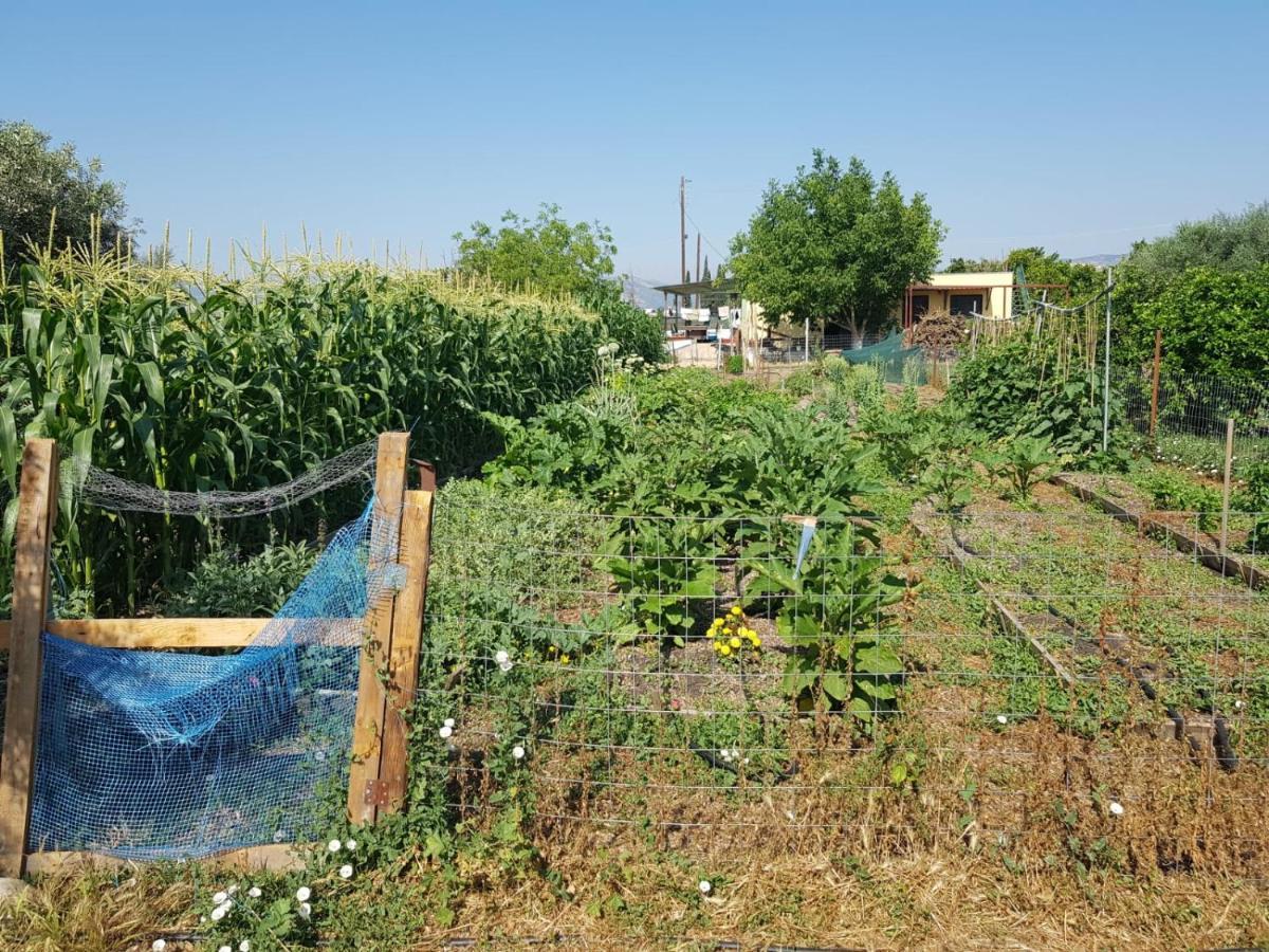 Eco Glamping With Pool Between Nafplio And Аргос Екстериор снимка