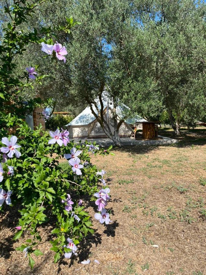 Eco Glamping With Pool Between Nafplio And Аргос Екстериор снимка