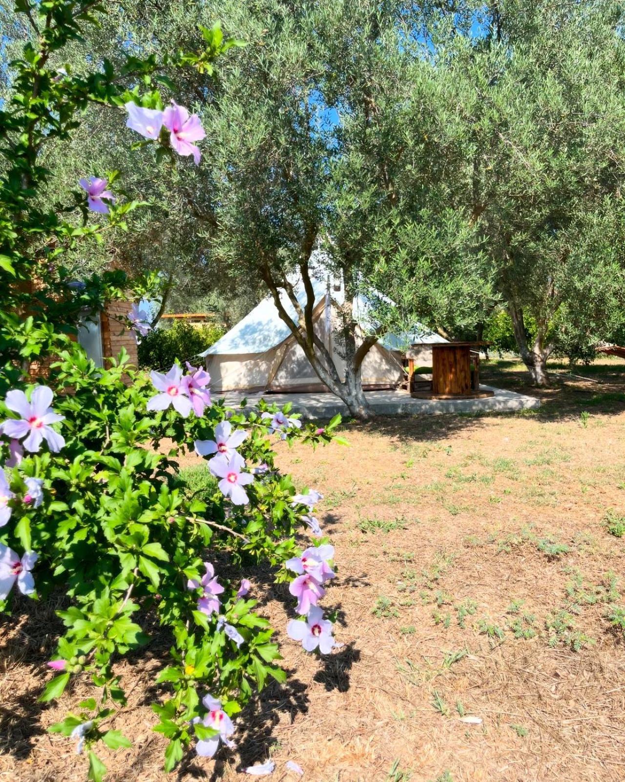 Eco Glamping With Pool Between Nafplio And Аргос Екстериор снимка